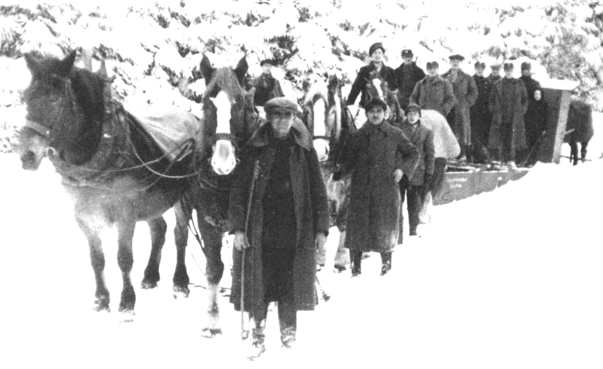Schneeräumdienst mit acht Pferden